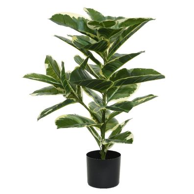 Kaemingk Gummibaum - Ficus Panaschiert im Topf 76 cm - Kunstpflanzen
