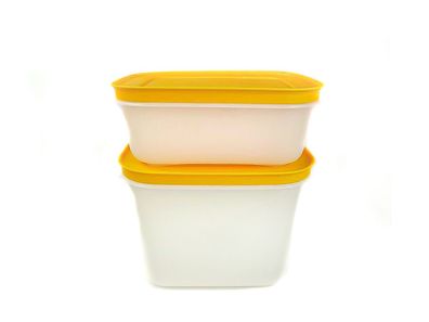 Tupperware Gefrier-Behälter 1,1 L + 450 ml orange-weiß Eis-Kristall Eiskristall