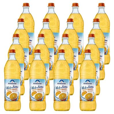 Adelholzener Bleib in Form Sunny Orange 16 Flaschen je 0,75l