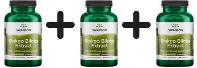 3 x Ginkgo Biloba Extract 24%, 60mg - 240 caps