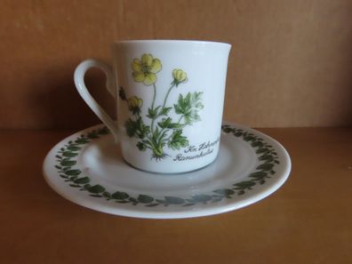 Tasse mit Untertasse mit gelber Blume Kn. Hahnenfuss Scherzer Bavaria