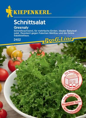Kiepenkerl® Schnittsalat Greenaly - Gemüsesamen