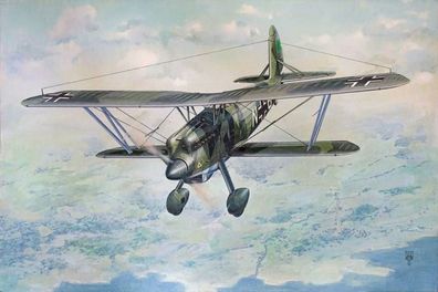 Roden 1:48 454 Arado Ar 68F-1