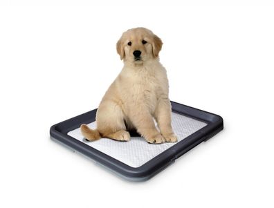 Nobby Doggy Trainer L - 62,5 x 48 x 3,8 cm Hund Dog Welpen Puppy krank Alt
