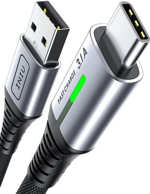 INIU USB C Kabel, Ladekabel USB C [2m/3.1A] Schnellladekabel Nylon Typ C Kabel