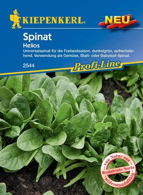 Kiepenkerl® Spinat Helios - Gemüsesamen