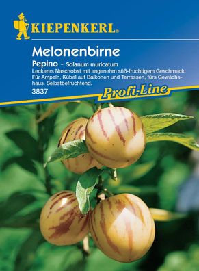Kiepenkerl® Melonenbirne Pepino - Obstsamen