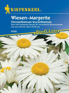 Kiepenkerl® Wiesenmargerite Weiß - Blumensamen