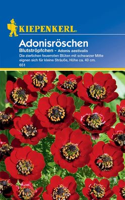 Kiepenkerl® Adonisröschen Blutströpfchen - Blumensamen