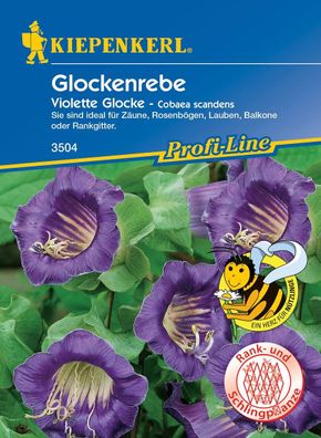 Kiepenkerl® Glockenreben Violette Glocke - Blumensamen