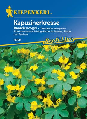 Kiepenkerl® Kapuzinerkresse Kanarienvogel - Blumensamen