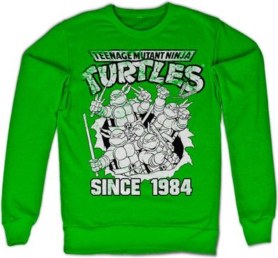 Teenage Mutant Ninja Turtles TMNT Distressed Since 1984 Sweatshirt Green