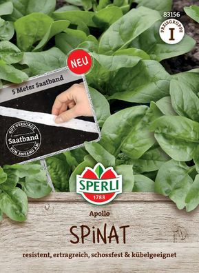 Sperli Spinat Apollo Saatband - Gemüsesamen