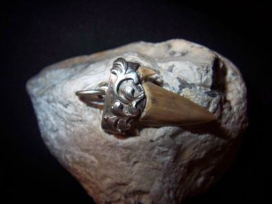 WMM Handarbeit Piraten Anhäger fossiler Hai-Zahn Unikat 800 Silber