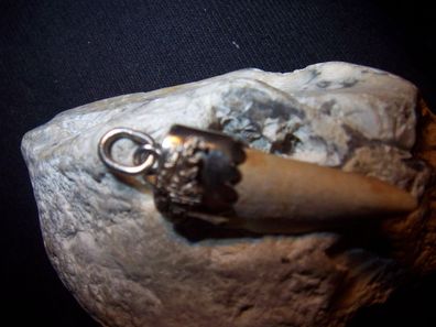 WMM Handarbeit Piraten Anhäger fossiler Krokodil-Zahn Unikat 800 Silber