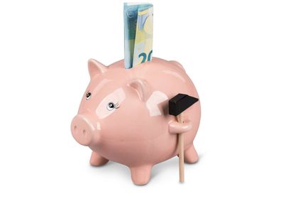 Geldgeschenke Sparbüchse Spardose Schwein mit Hammer 16cm - nicht zum Öffnen