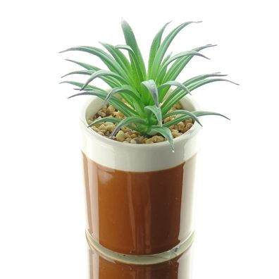 Kaemingk Mini-Sukkulente im braunen Steingut-Topf 11 cm - Kunstpflanzen