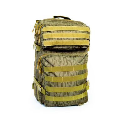 Army Assault Pack Rucksack BW 30 Liter Kampftasche Packtasche NVA Strichtarn