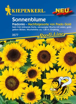 Kiepenkerl® Sonnenblumen Pradomio - Blumensamen