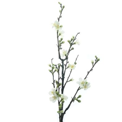 GASPER Quittenzweig Weiß 86 cm - Kunstblumen