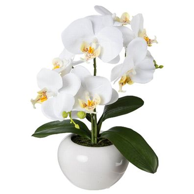 GASPER Schmetterlingsorchidee - Phalenopsis Weiß im Keramiktopf 35 cm - Kunstpflanzen