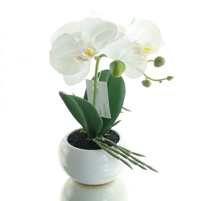 GASPER Orchidee Weiß im runden Keramiktopf - Kunstblumen
