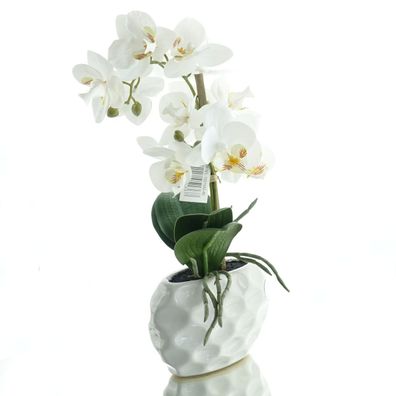 GASPER Orchidee Weiß im weißen Steinguttopf 33 cm - Kunstpflanzen