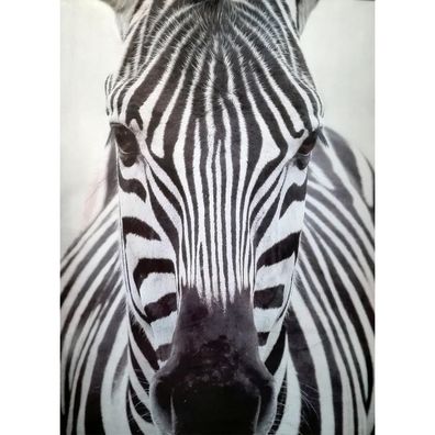 Safari Teppich 120×152 cm mit Zebra Motiv