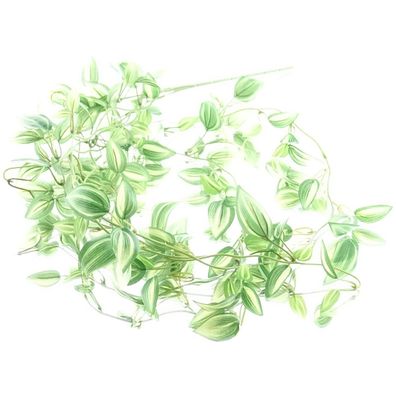 GASPER Tradescantienranke Grün & Weiß 102 cm - Kunstpflanzen