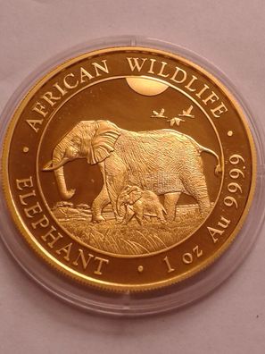 1000 Schillings 2022 Somalia Elephant Elefant 1 Unze Gold 31,1g 9999er Gold Afrika