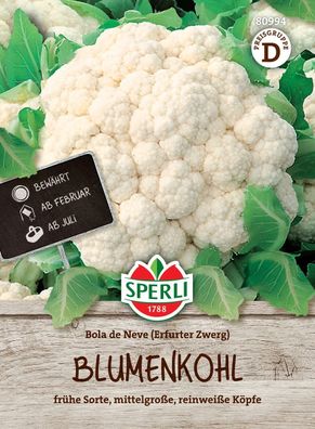 Sperli Blumenkohl Bola de Neve - Erfurter Zwerg - Gemüsesamen