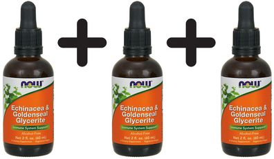 3 x Echinacea & Goldenseal Glycerite - 60 ml.