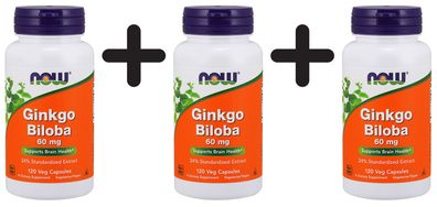 3 x Ginkgo Biloba, 60mg - 120 vcaps
