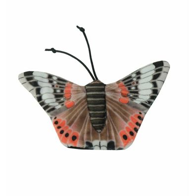Wild Life Cat Red Admiral Butterfly (Admiral Schmetterling)