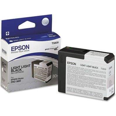 EPSON T5809 light light schwarz Tintenpatrone