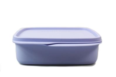Tupperware To Go Lunchbox Clevere Pause 550 ml pastell hellblau mit Trennwand