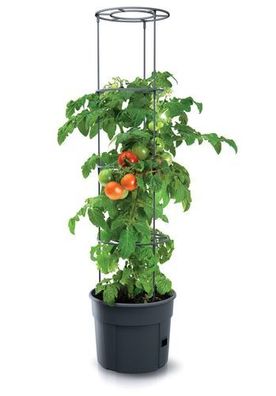 Tomatenpflanze Pflanzkübel Pflanzen Tomate 12L Garten Terrasse