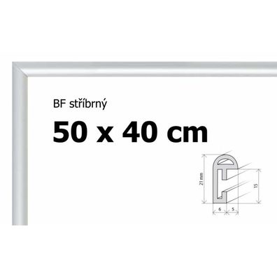 BFHM Kunststoff-Puzzle-Rahmen 50x40 - silber