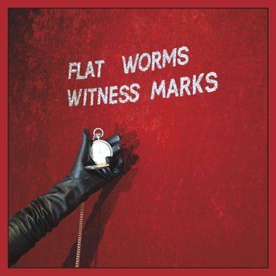 Flat Worms: Witness Marks - - (LP / W)