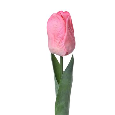 Clayre & Eef Kunstblume Tulpe 50 cm Rosa Kunststoff (Gr. 6x6x50 cm)