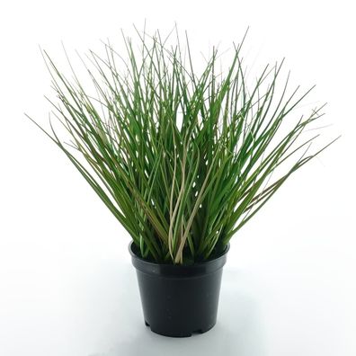 GASPER Gras Grün M im schwarzen Topf Ø 10,5 cm - Kunstpflanzen