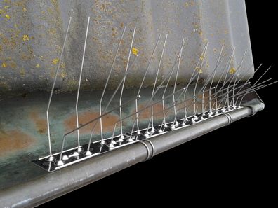 Taubenabwehr Dachrinnenschutz aus Edelstahl 50 cm lang inkl. 3 Befestigungsclips