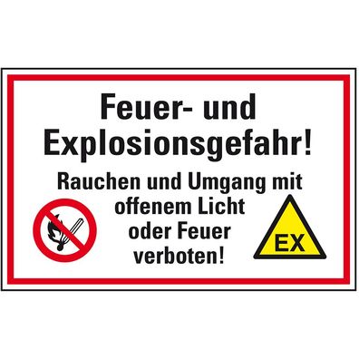 Hinweisschild Feuer- und Explosionsgefahr!..., Kunststoff, 300x200mm