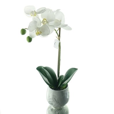 GASPER Schmetterlingsorchidee Weiß im Keramiktopf 36 cm - Kunstblumen