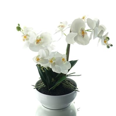 GASPER Schmetterlingsorchidee Weiß in weißer Melaminschale 35 cm - Kunstblumen