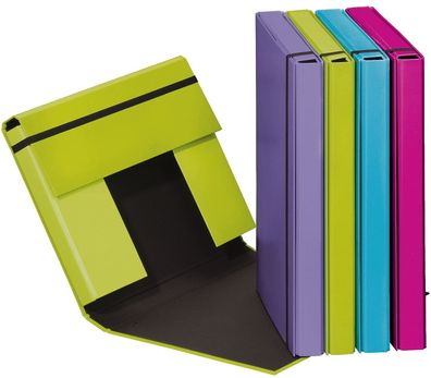 6x Pagna® 21308-00 Heftbox Trend - A4, PP, 4 farbig sortiert, Gummizug