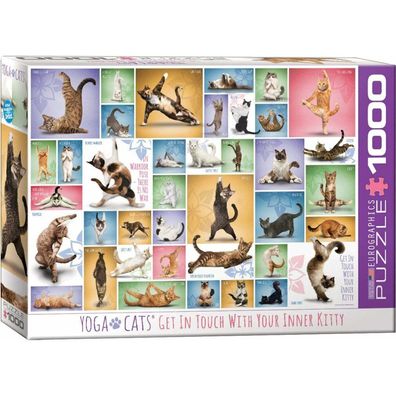 Eurographics Katze Yoga Puzzle 1000 Teile