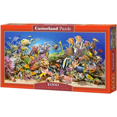 Castorland Puzzle Unterwasserwelt 4000 Teile