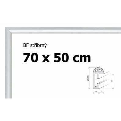 BFHM Kunststoff-Puzzle-Rahmen 70x50 - silber