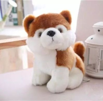 Shiba Inu Hund Akita Hund Plüschtier Kuscheltier Spielzeug